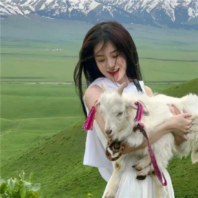 少年特工科迪